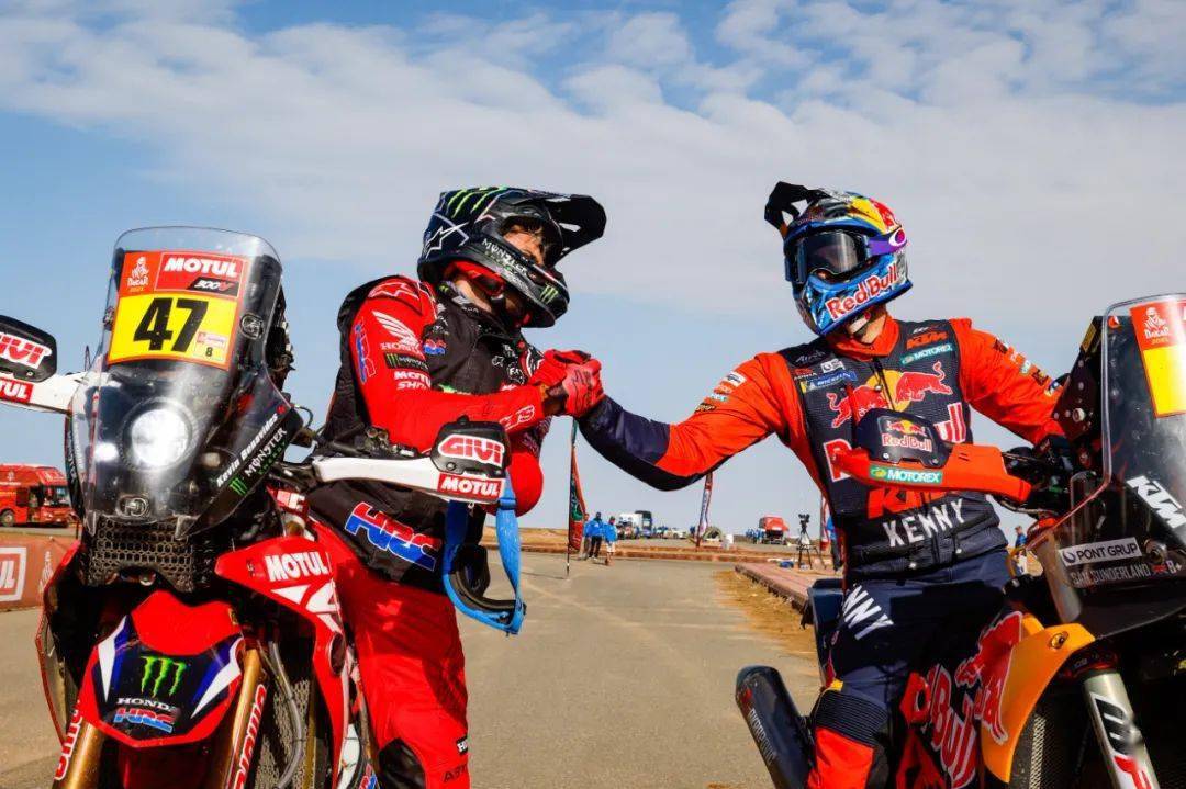 包含骑士委任新主帅，球队重组迎接新挑战的词条